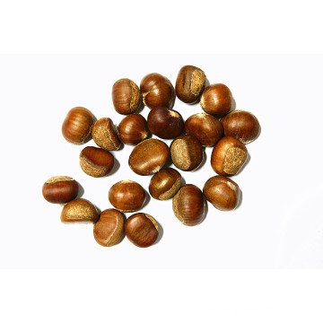 China First Quality Fresh Chestnut